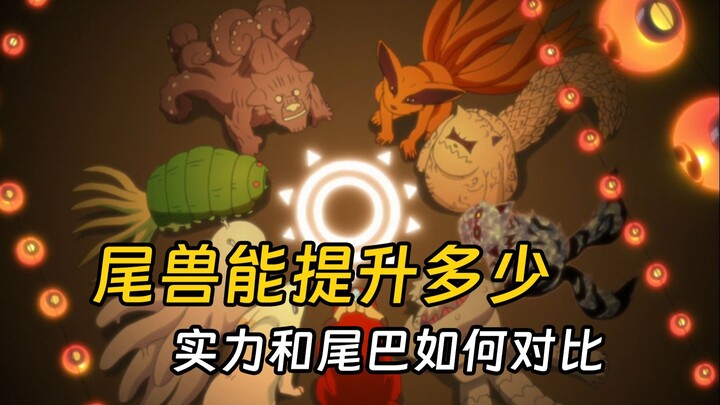 尾兽的实力和尾巴的数量有关吗？哪只尾兽才是真正的数值怪