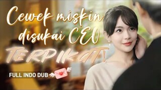 cewek miskin ini disukai oleh CEO yang sangat terpikat olehnya