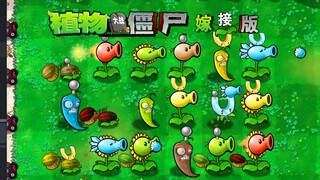 【嫁接版】技能效果 元素覆盖 随机地图