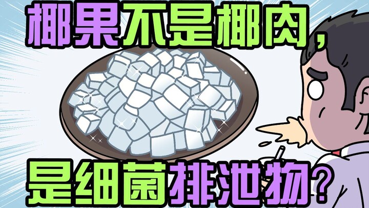 椰果不是椰肉，是细菌排泄物？