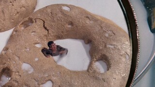 男孩意外缩小到1cm，不慎掉进牛奶碗中，差点被老爸吃掉！【科幻Fans 布玛】 《亲爱的，我把孩子缩小了》