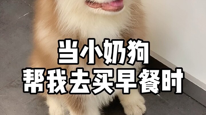 Được chăm sóc rõ ràng đến từng chi tiết～