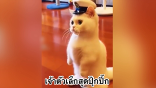 เพื่อนตัวน้อย สัตว์เลี้ยงแสนซน : เจ้าตัวเล็กสุดปุ๊กปิ๊ก