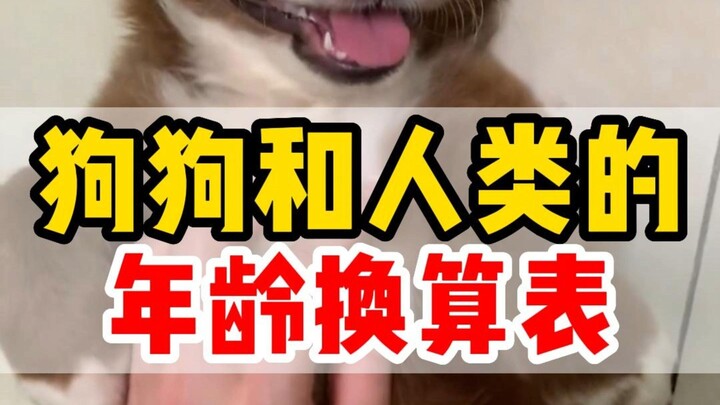 A 1-year-old dog doesn’t equal a 7-year-old human! Check out the new age conversion chart here!