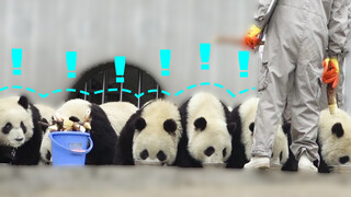 ได้เวลาอาหารแล้ว ทำไมยังไม่เริ่มกินอีก!