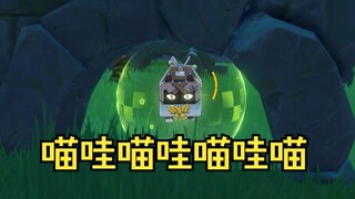 绮良良的快乐喵哇喵哇洞！