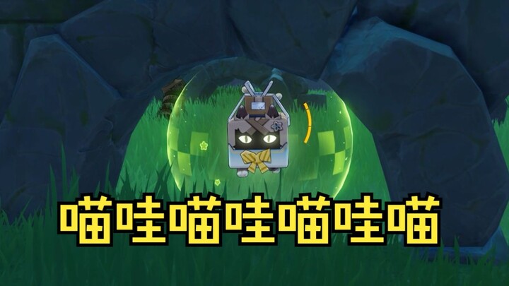 绮良良的快乐喵哇喵哇洞！