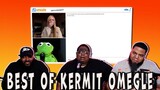 The best of Kermit on Omegle (so far) (TRY NOT TO LAUGH)
