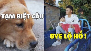 Lộ Hố | LỘ HỐ Rơi Nước Mắt Tiễn CẬU CHỦ Lên Thành Phố 😥 Gâu Đần Official