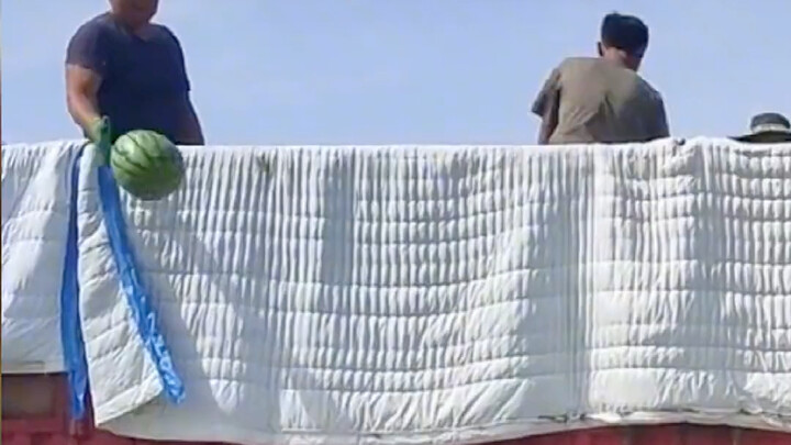 هل هذا هو بطل السلة الذي أهدرته ثمرة البطيخ؟