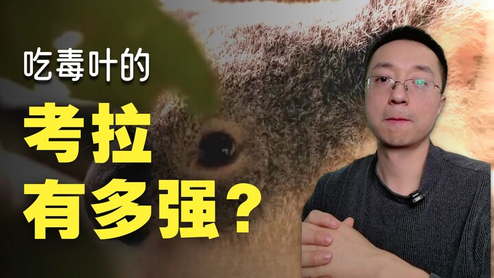 Hewan paling membosankan yang masih hidup di Bumi