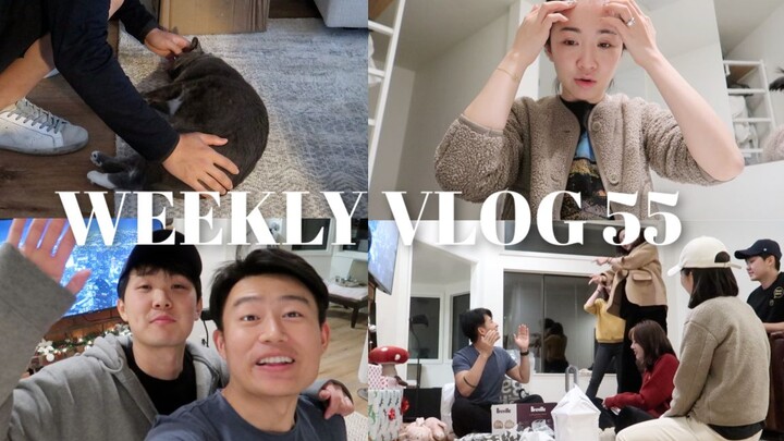 WEEKLY VLOG 55 | Back to updates! A week filled with both joy and sorrow as we bid farewell to the o