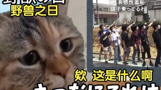 【熟肉】在南桐片制作公司打工的日常（8月10日篇） | 猫meme