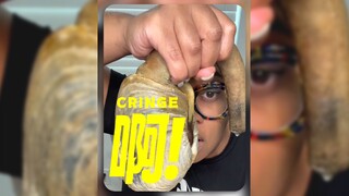 看完比尼古拉斯凯奇还要无语