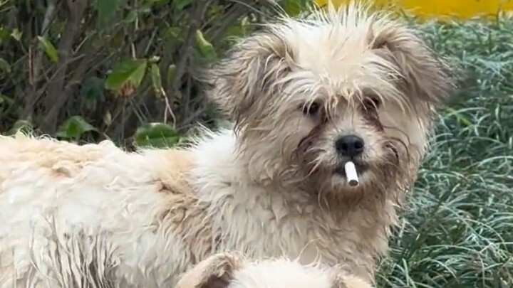 "This kid always hits my funny bone!"