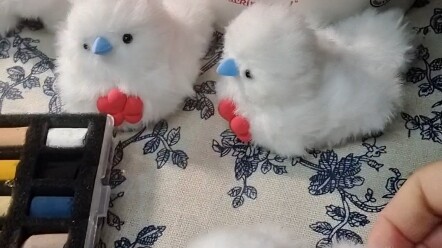 مجموعة من طيور العقاب الصغيرة التي لم تُلوَّن بعد