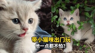 带小猫咪出门玩，他一点都不怕？