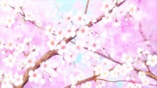 Chihayafuru - SS1 - Tập 1 - 2011 - HD