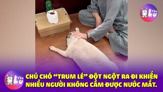 Buồn quá tôi coi cái này nước mắt tôi muốn chảy dài