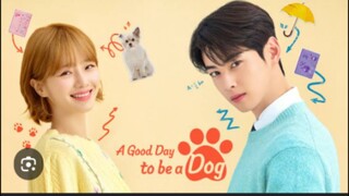 A GOOD DAY TO BE A DOG TAGALOG EP22