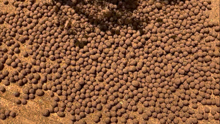 Monkey King Dan was called "Mouse Shi" when he was a kid.