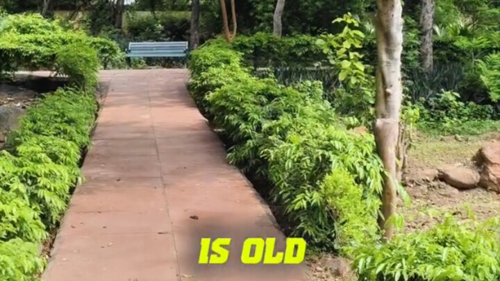 🎯1 MILLION BEFORE THE AGE OF 18