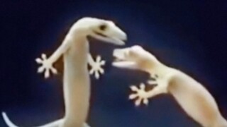 The most terrifying episode of Trisolarans😭😭