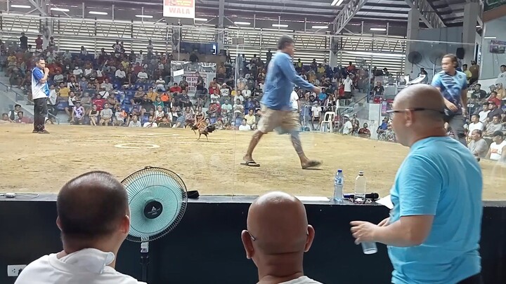 SECOND FIGHT (LOSE) MONTALBAN COCKPIT ARENA