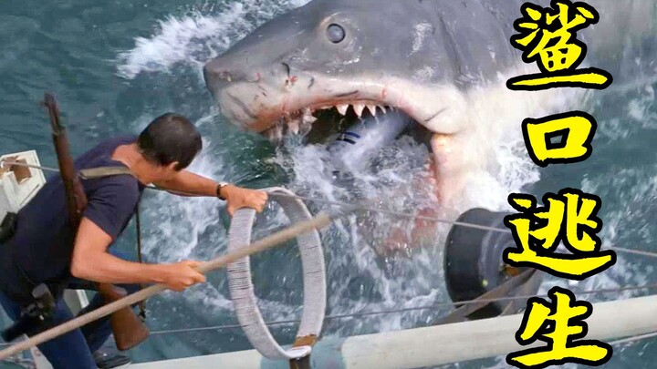 [Clueless Bro] Guy Goes Fishing at Sea, Catches a Great White Shark, and His Companions Are Eaten Al