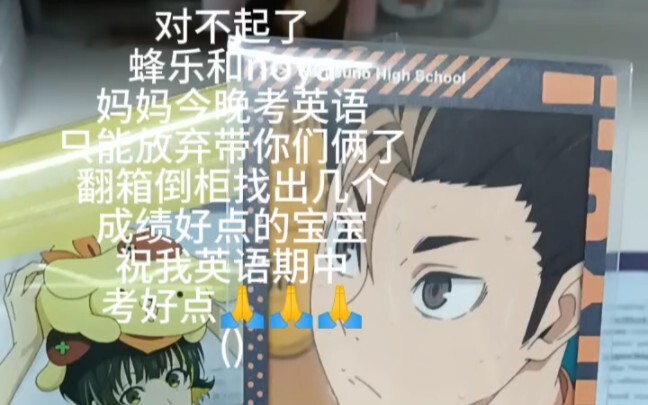 对不起了蜂乐noya……
