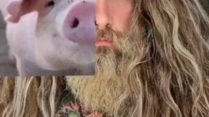 رغم أنه صغير ومحبوب، إلا أنه يصر على التصرف بشراسة 😂