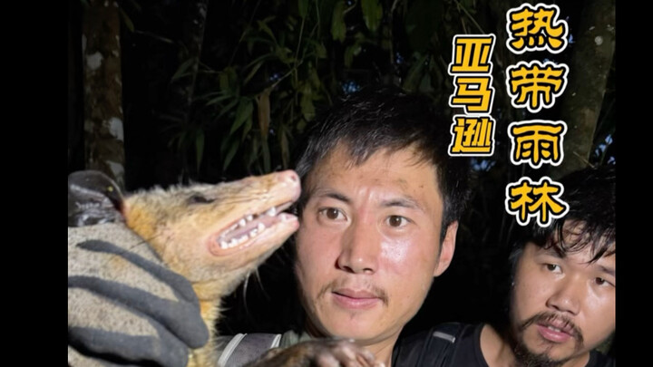 ตอนที่ 6: สำรวจป่าดิบชื้นแอมะซอนอย่างลึกซึ้ง — สัมผัสประสบการณ์หาตัวจับยากอย่างงูอนาคอนดาแอมะซอน