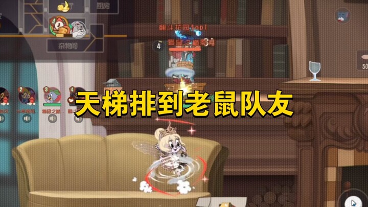 Tom and Jerry: The Game – Ranked in the Skirmish mode with a mouse teammate