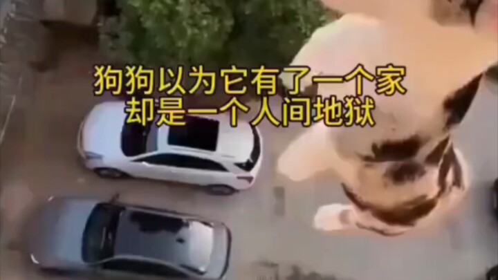 I could have endured the darkness if I had never seen the light.