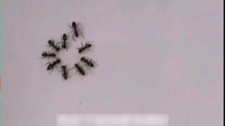 ฉันควรทำอย่างไร เขากำลังประชุมอยู่เหรอ? คุณกำลังคุยเรื่องการลงโทษฉันเหรอ?