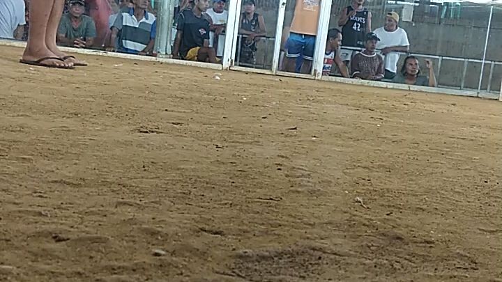 win choco🐓🐓🐓