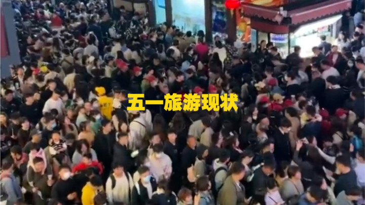 “Xong rồi, con nhộng không cử động nữa”