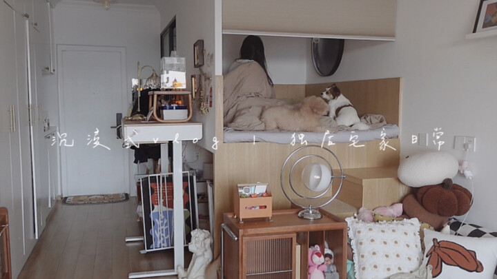治愈系独居vlog | 养三只小狗如何清洁小屋