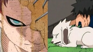 akamaru siente el Tenebroso Chakra de Gaara 😱/ Akamaru se Asusta 😭 /Español Latino