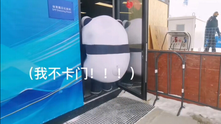 ฉากโอลิมปิกฤดูหนาวอันโด่งดังของ Bing Dwen Dwen - Bing Dwen Dwen ไร้ Carmen