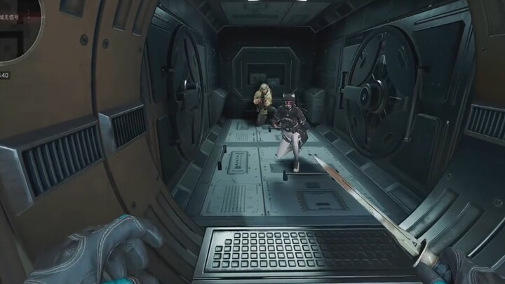 Bird LuLu and Luna: Hey, Haki the Bee, are you here to take shelter too? 😃