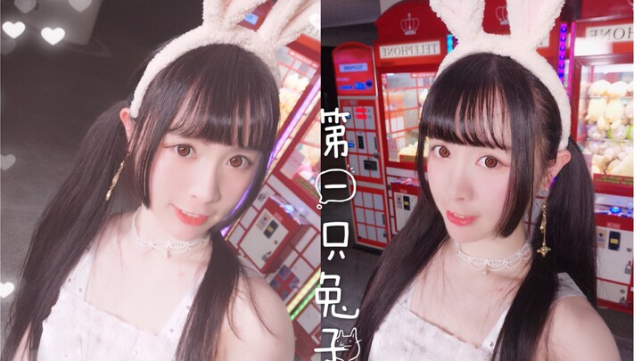 【月月☾】第一只兔子【是初心呀❤最初的梦想是成为第一】（HB to 青行一）