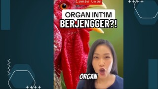 #ranjang #sexeducation #pasangan #education #fyp #fyi