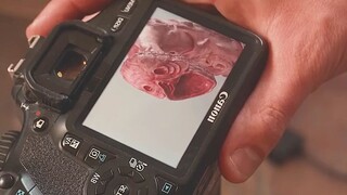 男人在相片里发现一直怪物，结局的反转让我猝不及防