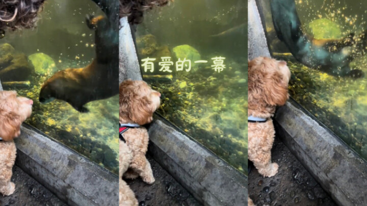 ฉากน่ารักสุดๆ เลย🥺