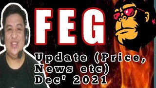 FEG Update I Feg 1 USD I Feg Metaverse I Feg Token I Feg Token Review