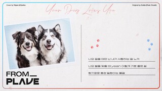 【Cover】【From. PLAVE】Yijun&Eunhu- "Your Dog Loves You" (นักร้องต้นฉบับ: Colde feat. Crush)
