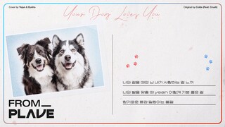 【翻唱】【From. PLAVE】 艺俊&银虎 -《Your Dog Loves You》（原唱：Colde feat. Crush）