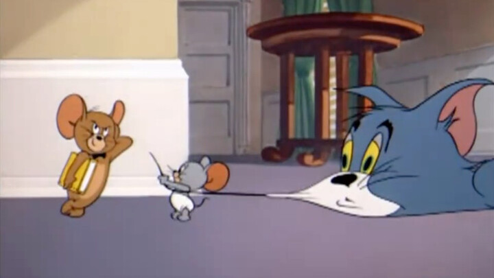 Tikus baru lahir tak takut kucing