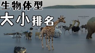 A worm 55 meters long? Visual comparison: Size comparisons among different organisms